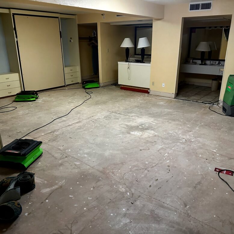 DisasterCleanupFlooding Cleanup after a flooding disaster begins with removing carpet and drying out the structure.